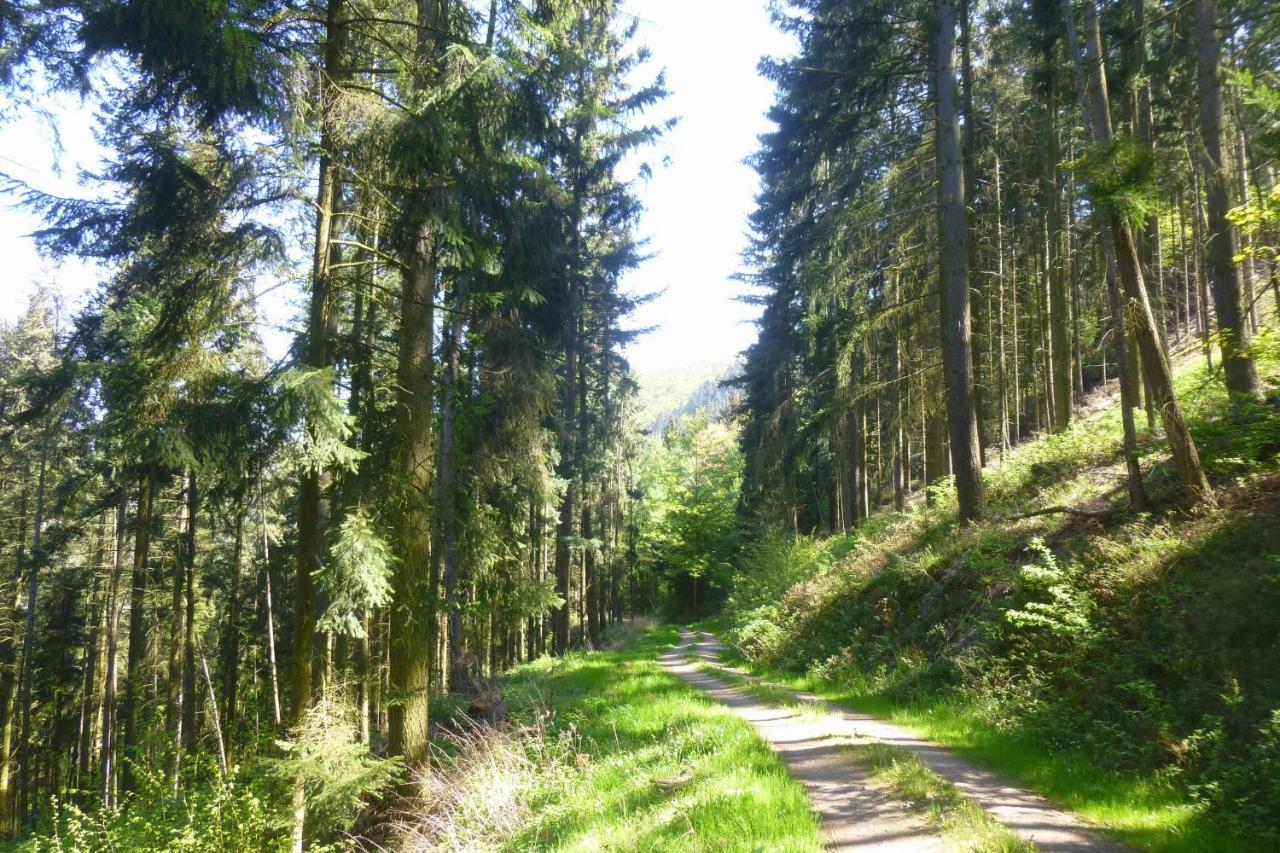 Moselschiefer Neu Ab Mai 2023 Apartman Traben-Trarbach Kültér fotó